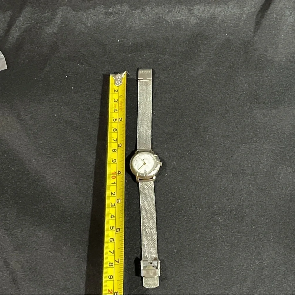 Skagen Silver and Gold Watch